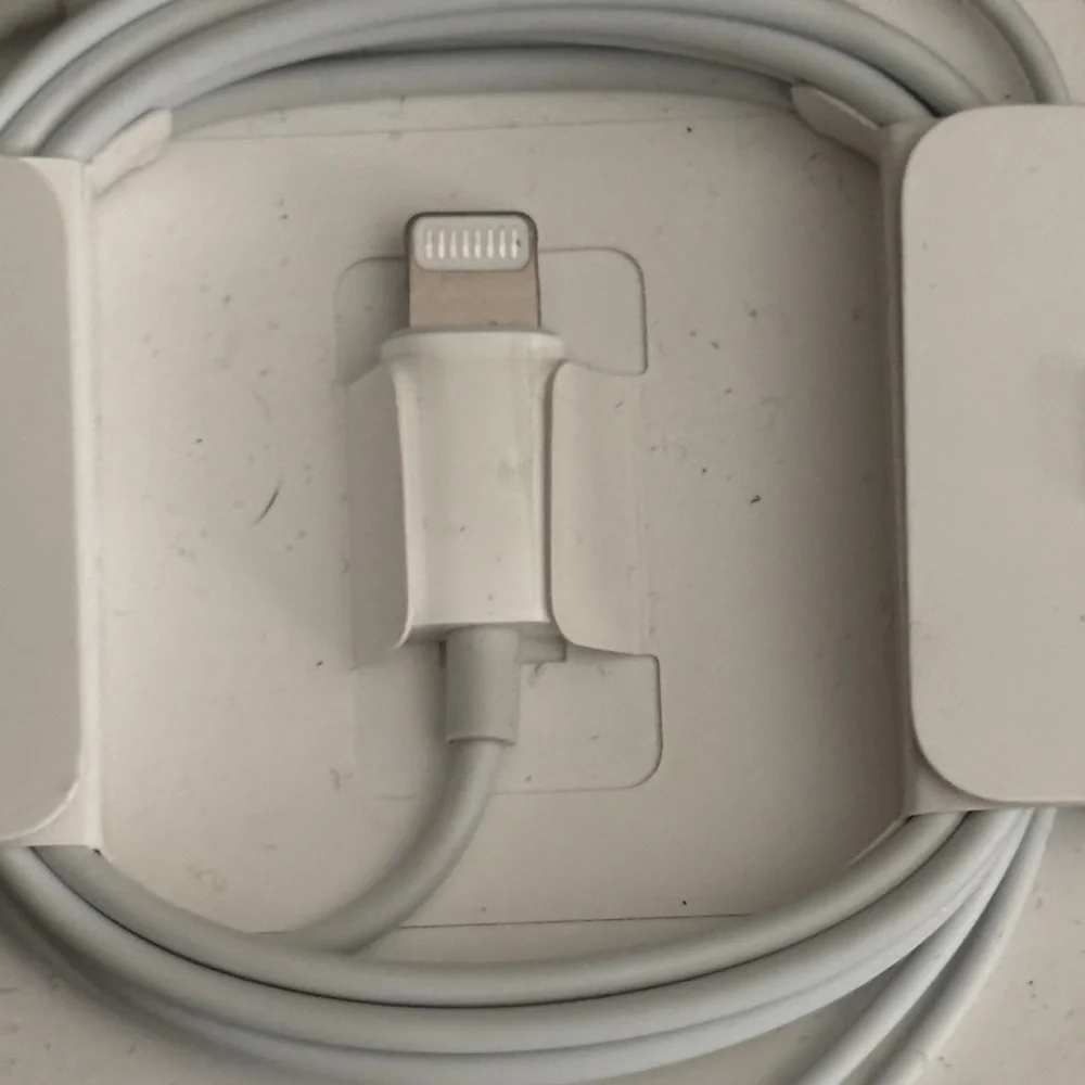 Apple White Wired Earbuds in Protective Case